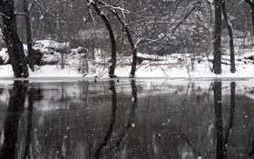 Winters reflections wallpaper