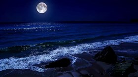 A Full Moon Night Beach