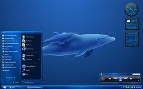 Blue Dolphins