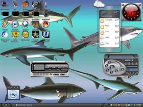 sharks