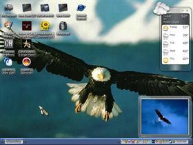 eagles 5