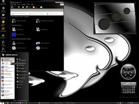 Inverted Inspirat Experiment