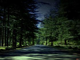 Road to the Stars
