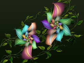 JuneBlooms