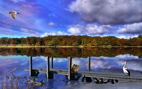 Crabbing The James