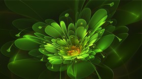 April Green Flower