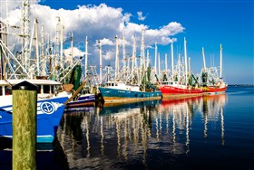 Docked Boats