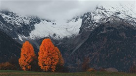 Fall in the Mountains