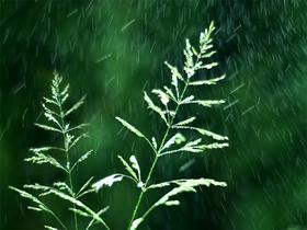 All Green