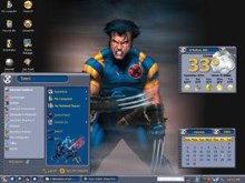 Black & Gray Wolverine