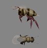 Bug1