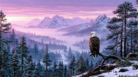 Freedom