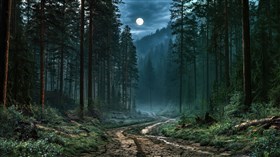 Deep Woods
