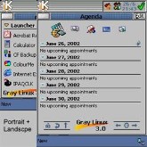 Gray Linux 3
