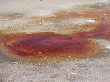 hot spring puddle