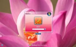 Splash Pink LogonVista