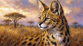 serval cat