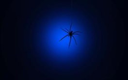 In The Dark