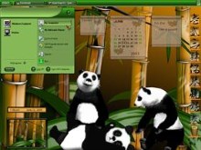 Bamboo Forest