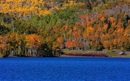Kolob Fall III