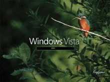 Vista Kingfisher