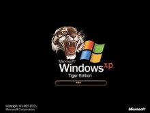 Tiger XP