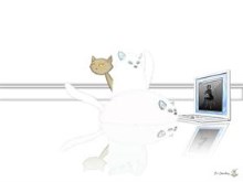 The Secret World Of Cats v2 & 3