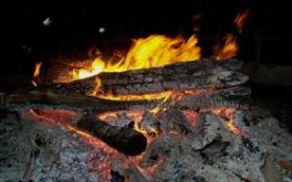 Warm Fire