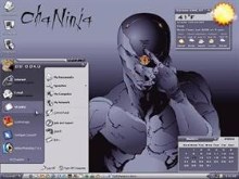 Ninja X2