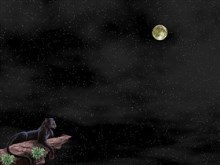 Night and the Hunter