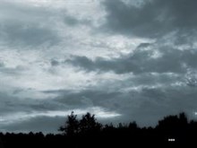 Cold Morning