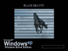 Black Beauty - Window Blinds Edition