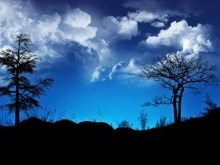 Blueberry Ridge_II