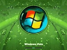 Vista Symmetric Leafs 7