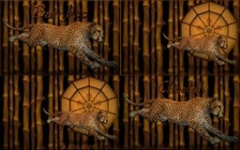Bamboo Cheetah_varietypak