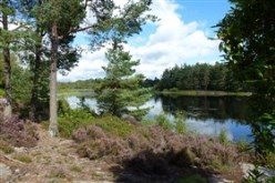 North England Summer Lake