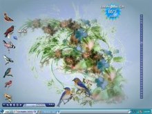 Birds