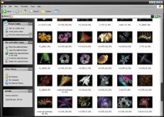 Apophysis Creations