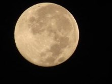 MOONSTRUCK