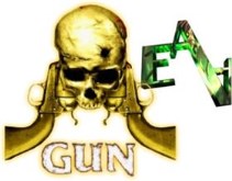 Gun