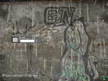 Lizard Graffiti