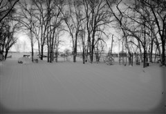 Winter Sun
