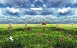 days of hunting