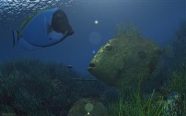 Underwater Life LSV