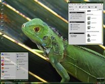 Colorful mix