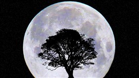 MoonRise