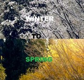 Seasons-Winter to Spring