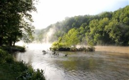 Forest River