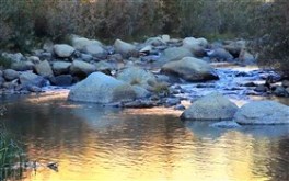 Rocky Stream