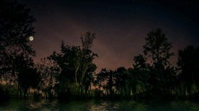 Moonlit_Everglade